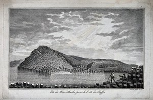 view Island of "Boo-Sha-La", near Staffa, Scotland: columns of basalt covering the island. Etching by G. Riboldi.