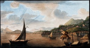 view Lacco (Lacco Ameno), on the island of Ischia composed of volcanic tufa, with other islands raised by volcanic eruptions: view at sunset. Coloured etching by Pietro Fabris, 1776.