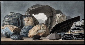 view Vitrifications and other volcanic productions. Coloured etching by Pietro Fabris, 1776.