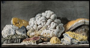 view Pieces of volcanic minerals from Solfatara. Coloured etching by Pietro Fabris, 1776.