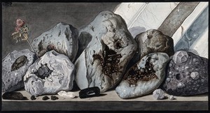 view Stones or crystals from Mount Vesuvius. Coloured etching by Pietro Fabris, 1776.