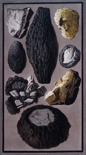 view Pieces of lava and vitrified, flinty matter found after the eruption of Mount Vesuvius on 8 August 1779. Coloured etching by Pietro Fabris, 1779.
