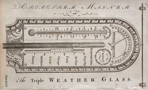 view A domestic weather-station: combined thermometer, hygrometer, and barometer. Engraving after B. Martin.