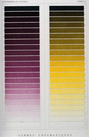 view Optics: colour scales for violet and yellow. Colour mezzotint [?] by R.H. Digeon, ca. 1868, after J. Silbermann.