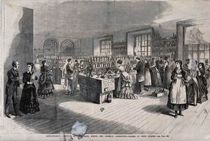 view The chemical laboratory at Massachusetts Institute of Technology, Boston: women and men at class. Wood engraving, c. 1880.