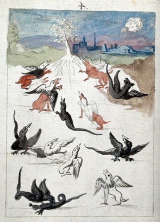 Dragons and griffins around a lone flowering tree in a landscape on the outskirts of a town; representing a stage in the alchemical process. Coloured etching after etching, ca. 17th century.