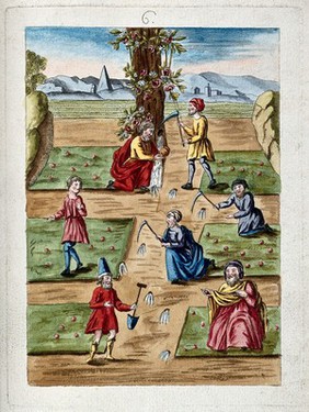 Men vainly seeking alchemical 'white' (mercurial) water in the ground and in trees. Coloured etching after etching, ca. 17th century.