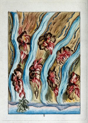 view Rivers running in the wilderness, with serpents and fire between them; representing the stage of 'multiplication' in the alchemical process. Coloured etching after etching, ca. 17th century.