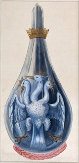 A three-headed eagle in a crowned alchemical flask, representing mercury sublimated three times. Watercolour painting by E.A. Ibbs.