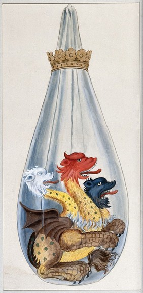 A three headed monster in an alchemical flask, representing the composition of the alchemical philosopher's stone: salt, sulphur, and mercury. Watercolour painting by E.A. Ibbs.