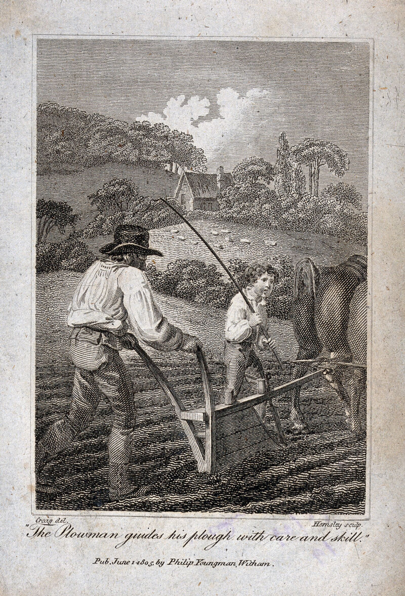 A ploughman and a ploughboy working in a field. Engraving by Hemsley
