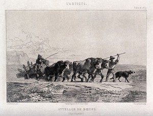 view Woodmen driving an ox-cart carrying baulks of timber. Etching by F. Bracquemond after A. DuBuisson.