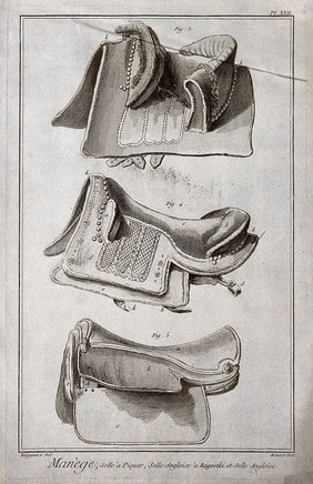 Saddles: three types. Engraving, c.1762, by Benard after Lucotte.