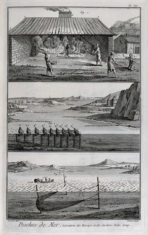 view Fishing: people smoking herrings and sardines; pots and nets for trapping them. Etching, ca.1762, by R. Benard after L.J. Goussier.