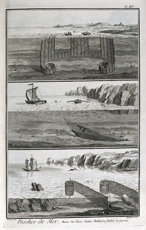 Fishing: three different designs of net. Engraving, c.1762, by R. Benard after J.L. Goussier.