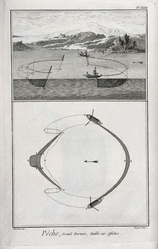 Fishing: seine-fishing for shad, with two dragnets . Etching, ca.1762, by R. Benard after L.J. Goussier.