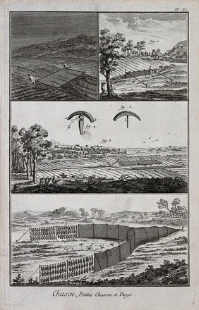 Hunting: nets for catching ground birds. Engraving, c.1762.