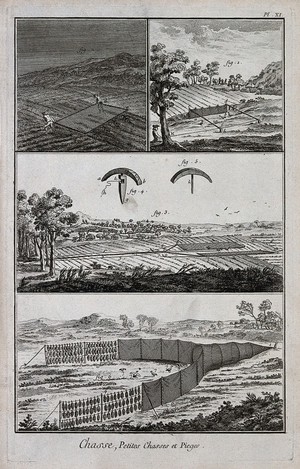 view Hunting: nets for catching ground birds. Engraving, c.1762.