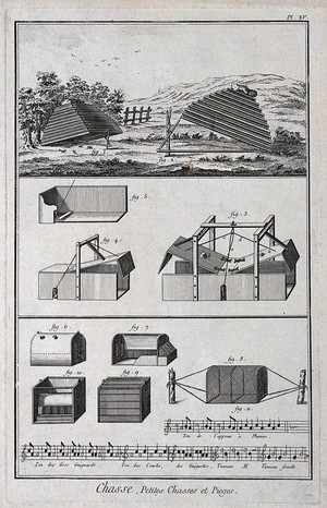 view Hunting: snares for catching ground-feeding birds, and musical notation of bird-song. Engraving, c.1762 by B.-L. Prevost.