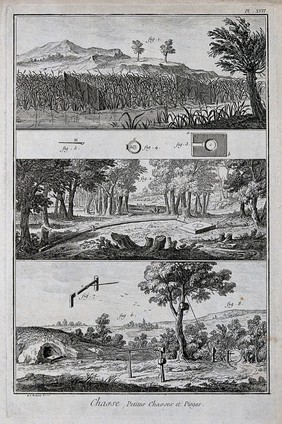 Hunting: nets and snares for catching ground-feeding birds. Engraving, c.1762 by B.-L. Prevost.