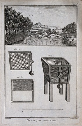 Hunting: a trap for a ploughed field (top), and details of a trap for roosting birds (below) Engraving, c.1762, by Prevost after L.J. Goussier.