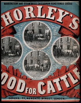 An advertisement for Thorley's cattle food. Coloured lithograph.