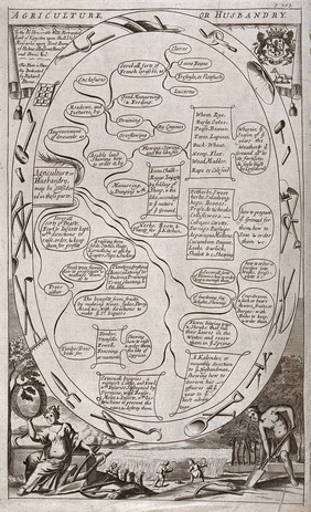 The branches of agriculture and husbandry linked by lines showing their progression; (below) workers scythe wheat. Line engraving after Richard Blome (?), 1686.