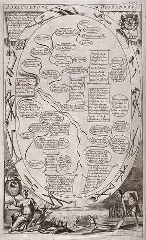 view The branches of agriculture and husbandry linked by lines showing their progression; (below) workers scythe wheat. Line engraving after Richard Blome (?), 1686.