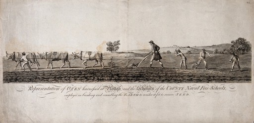 Agriculture: schoolboys variously employed ploughing, digging, and raking earth. Engraving.