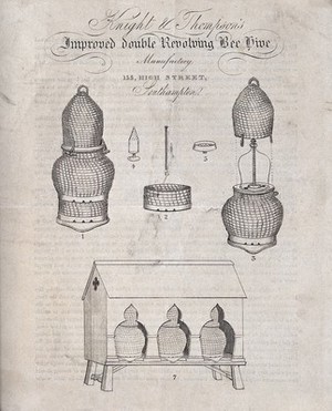 view Apiculture: an advertising flyer for a patent beehive. Engraving after Knight & Thompson.