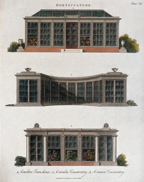 Types of orangery. Coloured engraving.