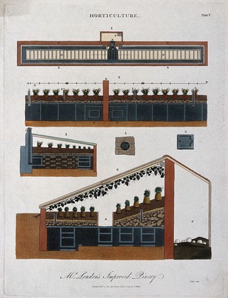 Types of orangery. Coloured engraving.