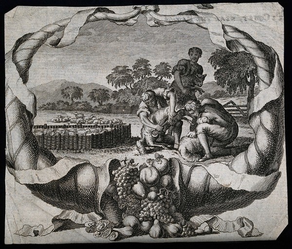 An allegory of plenty: a scene of sheep-shearing with a cornucopious border. Engraving.