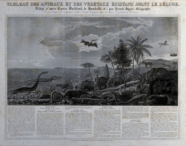Antediluvian creatures, in a primaeval landscape. Mixed method engraving by A. M. Perrot.