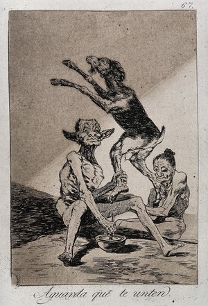 view A naked witch watching a seated monster grabbing a jumping goat by its hind leg. Etching by F. Goya, 1796/1798.