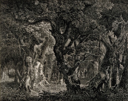 Magicians leaving the wood where they successfully performed incantations. Etching by Sandby and Rooker after J. Collins, 1750/1800.