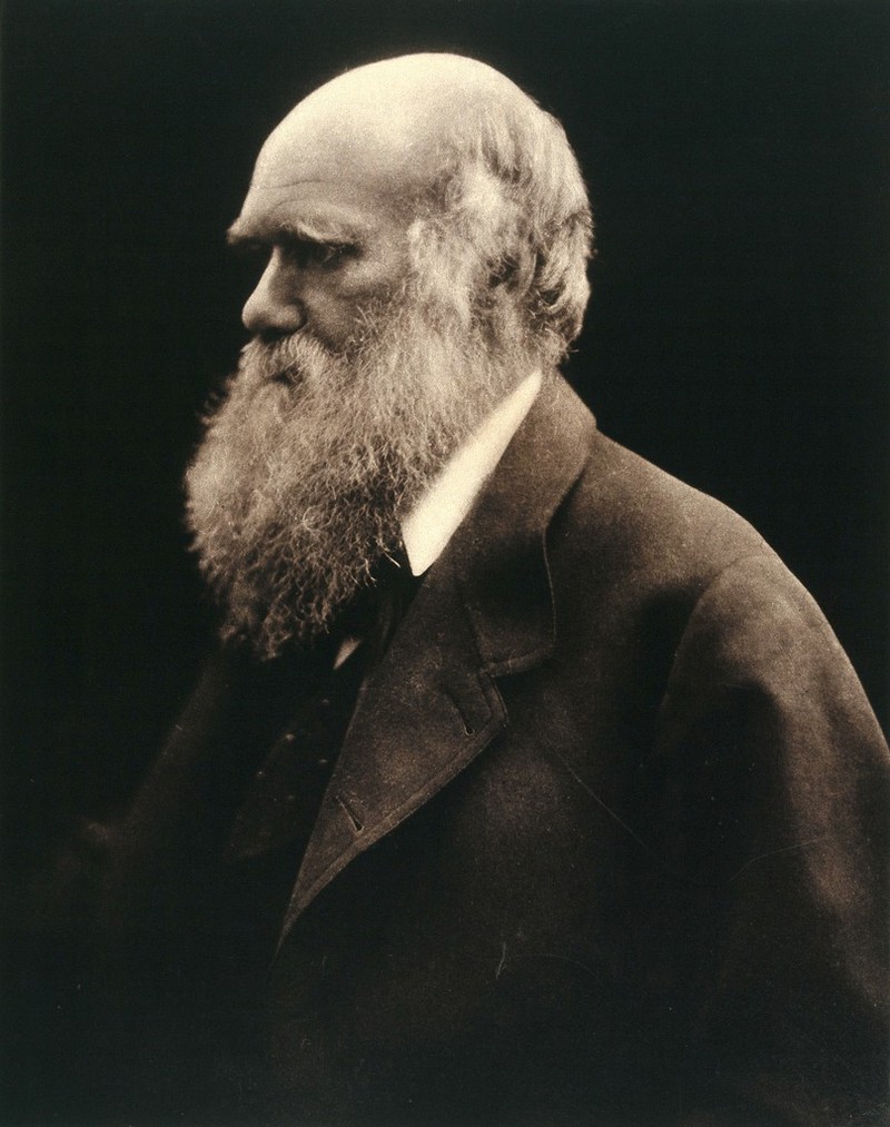 Charles Robert Darwin. Photograph by Julia Margaret Cameron, 1868 ...