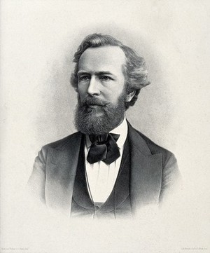 view Ernst Heinrich Philipp August Haeckel. Photogravure after F. Haack.