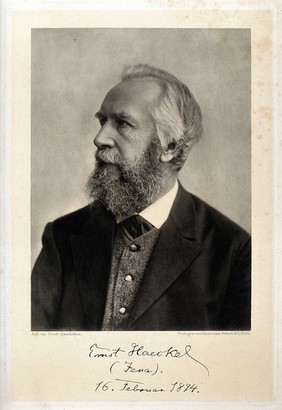 Ernst Heinrich Philipp August Haeckel. Photogravure after F. Haack, 1894.