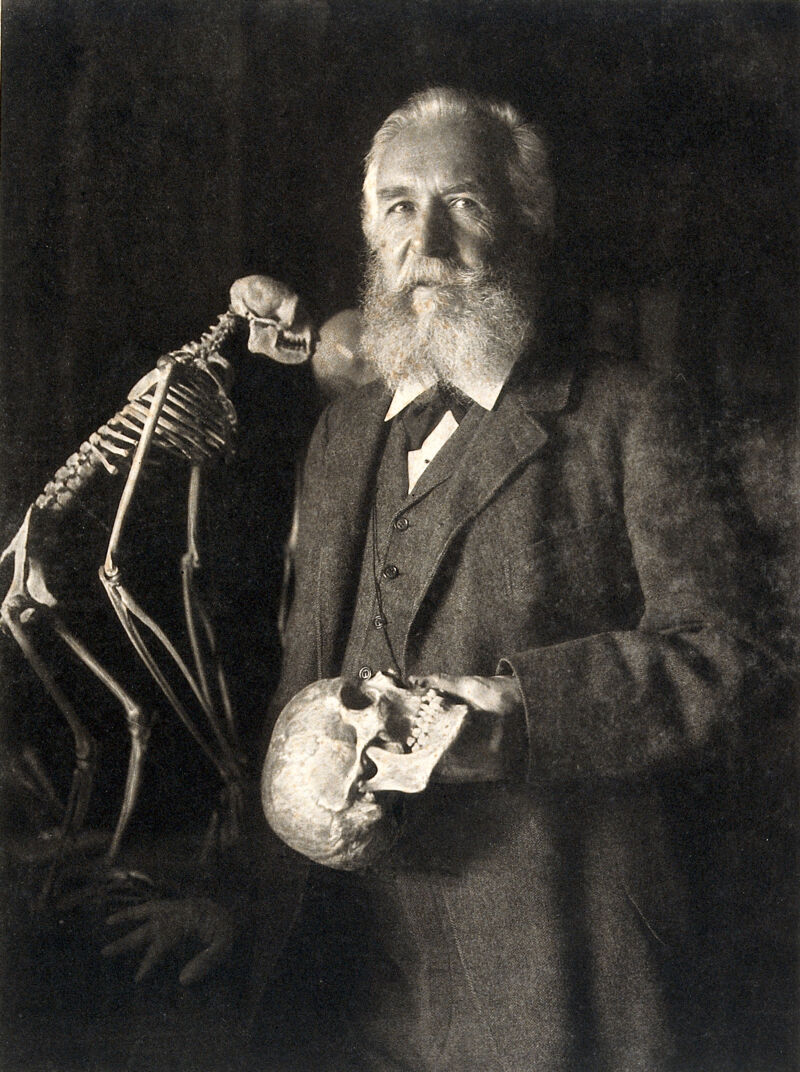 Ernst Heinrich Philipp August Haeckel. Photogravure after N. Perscheid, 1904., 1904, by Nicola Perscheid
