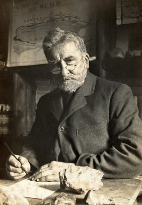 Benjamin Harrison. Photograph by Wallace Chisholm.