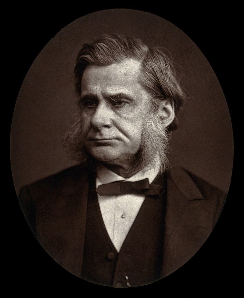 Thomas Henry Huxley. Photograph by Lock & Whitfield. Collection