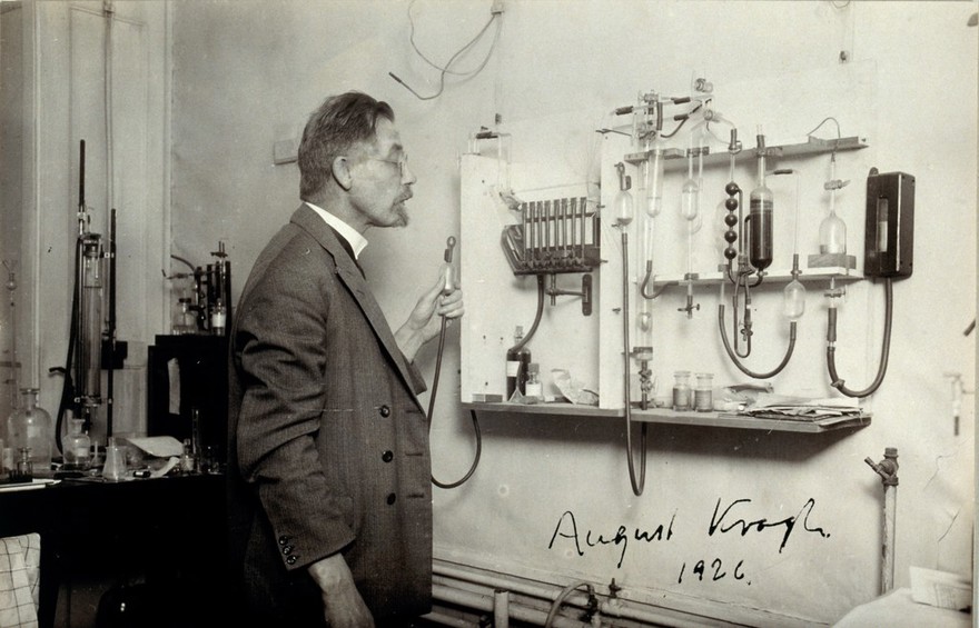 August Krogh. Photograph, 1926.