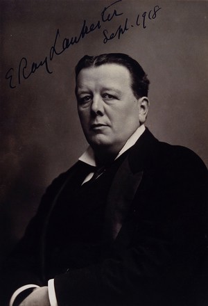 view Sir Edwin Ray Lankester. Photograph by Elliott & Fry Ltd, 1918.