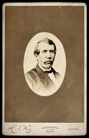 view David Livingstone. Photograph by H.N. King.