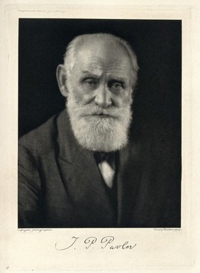 Ivan Petrovitch Pavlov. Photogravure after Lafayette Ltd.