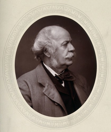 Sir Henry Creswicke Rawlinson. Photograph by Lock & Whitfield.