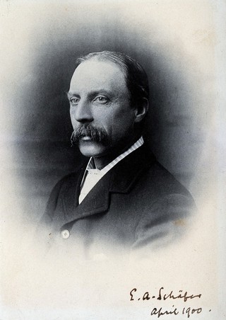 Sir Edward Albert Sharpey-Schafer. Photograph, 1900.