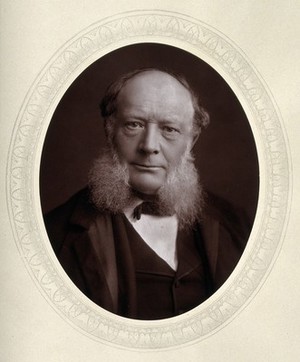 view Sir Charles William Siemens. Photograph by Lock & Whitfield.