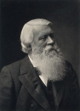 J.W. Swan. Photogravure by the Art Photogravure Co. Ltd.